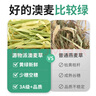 洁西 烘干小麦草 兔兔牧草干草适用于荷兰猪龙猫豚鼠粮食饲料500g 实拍图