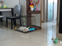 憨憨宠 狗笼猫笼 狗笼子小型犬带厕所幼犬折叠便携猫笼子宠物笼具兔笼 黑色 侧出盘狗丝笼 60*42*50cm 实拍图