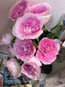 京东鲜花产地仓严选玫瑰颜色随机家庭插花随机玫瑰10枝源头直发 实拍图