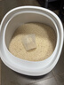 佳帮手米桶2025新款防虫储米箱防潮密封米缸装米容器厨房用具食品级面桶 实拍图