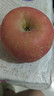 京地达烟台栖霞红富士苹果净重4.5斤单果约193g烟台苹果水果源头直发 实拍图