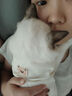 华夫格小熊背心小狗狗宠物衣服薄款夏装泰迪比熊中小型犬秋天春款 猫咪衣服-乳白色 L码 实拍图