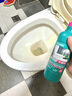 威利达洁厕灵除垢去渍黄马桶清洁剂液洗厕所神器强力去异味去尿渍 【去污】500g*1瓶 实拍图
