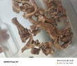 鲜京采 新西兰原切去骨羊后腿肉4斤 烧烤炖煮食材 羊肉 京东自有品牌 实拍图