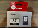 佳能（Canon）PG-87 黑色墨盒(适用E568黑·大印量套装/E568白/E568/E568R) 实拍图