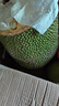 京鲜生 海南菠萝蜜整个 13-17斤 净重13斤生鲜水果 源头直发 实拍图