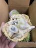 壹萌果蔬释迦果新鲜凤梨释迦果番荔枝大目林擒佛头广西热带水果中秋送礼 净2.5-3斤精选果【单果150g+】 实拍图