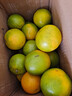 京喜加【25年鲜橙】云南冰糖橙新鲜采摘秋橙当季新鲜水果 净重4.5斤65mm 实拍图