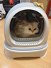 美卡智能机器猫全封闭猫砂盆特大号防外溅隔臭大空间猫厕所便盆青玉色 实拍图