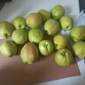 京鲜生 新疆库尔勒香梨 净重5斤 一级 单果100g-120g  生鲜水果 实拍图