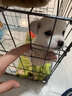 腆宠狗笼猫笼 狗笼子中小型犬带厕所幼犬狗窝猫笼子大号家用围栏兔笼 实拍图