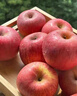 甜醉了 烟台苹果栖霞红富士新鲜水果生鲜山东特产脆甜整箱平果礼盒礼品 净重4.5斤中果(70-75mm) 实拍图