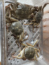 苏泊尔（SUPOR）电蒸锅 24L三层大容量电热锅 家用多功能电蒸箱 加长蒸屉蒸鱼多用途锅ZN32FK995 实拍图