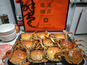 【活蟹】阳澄清歆大闸蟹 鲜活特大螃蟹公蟹母蟹 海鲜水产年货礼盒 公5.0-5.3两母4.0-4.3两 4对八只 实拍图