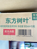 农夫山泉 东方树叶绿茶500ml*15瓶无糖茶饮料0糖0脂0卡整箱装解渴饮品 实拍图