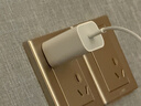 Apple/苹果 20W USB-C充电器  type-c充电器苹果手机充电器原装手机快充头 苹果17手机充电器 实拍图