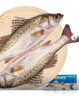 仙泉湖冷冻白蕉海鲈鱼2斤 肉厚刺少生鲜水产食材1斤*2条 生鲜食材 实拍图