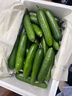 京鲜生 山东荷兰水果黄瓜净重5斤 单果70g+ 健康轻食早餐 源头直发 实拍图