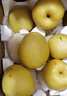 正宗雪梨河北雪花梨梨子批发10斤冰糖雪梨新鲜水果当季水果3斤5斤 特级雪梨净重9斤 实拍图