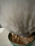 网易严选猫湿粮零食浓汤大口肉罐头鸡肉+三文鱼 85g*24罐 实拍图