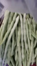 京鲜生山东新鲜白芸豆净重3斤装白不老新鲜蔬菜源头直发包邮 实拍图
