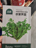 北蔬 荠菜种子苗农家大叶四季播种野菜菜种籽 农家荠菜种子10g约5万粒 实拍图