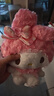 Hello Kitty三丽鸥毛绒玩具玩偶布娃娃抱枕送女友生日礼物女生 美乐蒂公仔 实拍图
