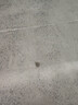 萤石（EZVIZ）C2C 1080P摄像头 个 无线智能网络摄像头 wifi远程监控摄像头 红外高清夜视  实拍图