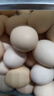 京鲜生【每日鲜蛋】无抗谷物鸡蛋30枚3.78斤 当日产蛋 当日发货 实拍图