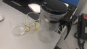 金灶（KAMJOVE）飘逸杯茶道杯耐热玻璃茶壶过滤泡茶壶茶具玲珑杯  TP-160 500ml 实拍图