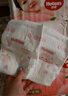 好奇（Huggies）铂金装小桃裤纸尿裤L120片(9-14kg)大号尿不湿【透爽散热】 实拍图