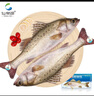 仙泉湖冷冻白蕉海鲈鱼2斤 肉厚刺少生鲜水产食材1斤*2条 生鲜食材 实拍图