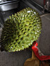 京鲜生马来西亚D197猫山王榴莲冷冻4-4.5斤保4房新鲜水果 实拍图