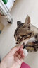 一只喜欢猫咪冻干营养小仙棒宠物零食犬猫通用 羊奶口味45g*1包 实拍图