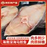 述宝海南特产正宗海鲜马鲛鱼切片生鲜中段鱼肉原味带鱼段冷冻生鲜礼盒 不腌制马鲛鱼500g*4袋 实拍图