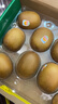 佳沛（zespri）新西兰  阳光金奇异果10粒礼盒巨大果单果约144-175g 水果 猕猴桃 实拍图