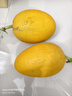 京鲜生 黄金哈密瓜 2粒 单果2.5斤起 净重6-8斤 生鲜水果礼盒 实拍图