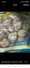 海鲜世家冷冻大号带黄渤海扇贝肉450g 35-45粒裙边扇贝方便菜海鲜生鲜 实拍图