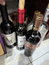 CANIS FAMILIARIS布多格意大利原瓶进口红酒 奥巴萨半干红葡萄酒 750ml 婚宴单瓶装 实拍图