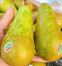京鲜生荷兰啤梨3斤装 软糯香甜 单果130g-170g 源头直发 一件包邮 实拍图