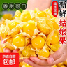京喜加姑娘果菇娘果灯笼果新鲜水果精品商超品质发财2 商超品质 净重5斤装 实拍图