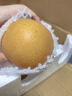 颜曼箐秋月梨 山东莱阳羊脂秋月梨新鲜孕妇水果丰水冰糖梨 5斤装甄选果 约7-12枚 净4.5斤 实拍图