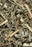 太守堂 透骨草500克 精选珍珠透骨草 中草药材原材料 实拍图