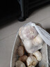 山东金乡蒜大蒜出口标准精选大蒜头蔬菜调料单果5cm 出口标准网兜装箱 1800g 5-5.5cm特大 实拍图