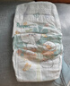 帮宝适超薄透气清新帮透氧Pro新生儿婴儿纸尿裤尿不湿尿片尿布S60 实拍图