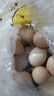 苏北草鸡蛋60枚破损包赔农家散养土鸡蛋早餐溏心蛋买菜京东包邮 苏北草鸡蛋60枚3kg破损包赔 实拍图
