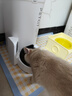 小佩宠物AI智能自动喂食器可视版 定时定量 猫狗宠物喂食 视频监控 实拍图