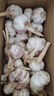 紫白皮蒜即食水果大蒜今年新鲜干蒜生鲜调料蒜瓣 5头大蒜0.36斤 实拍图