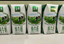 伊利金典纯牛奶整箱 250ml*16盒 3.6g乳蛋白 礼盒装 实拍图