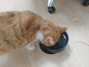 JCZS德国品牌恒温猫咪饮水机自动循环加热宠物喝水器 3档定时恒温垫+350ml黑色陶瓷碗 实拍图